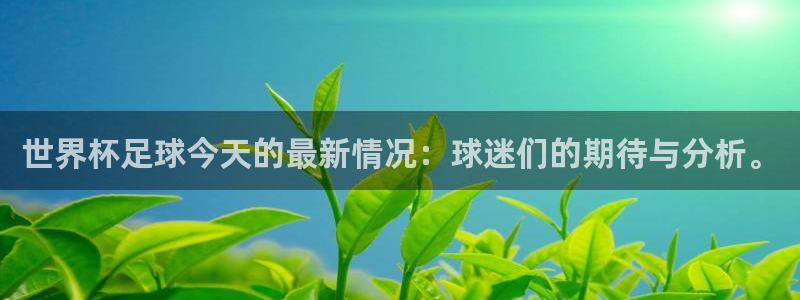 世界杯足球今天的最新情况：球迷们的期待与