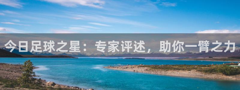 今日足球之星：专家评述，助你一臂之力