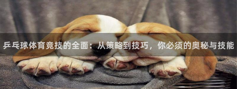 乒乓球体育竞技的全面：从策略到技巧，你必