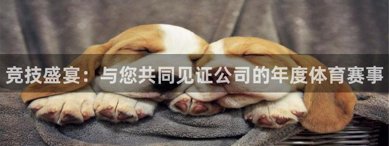 竞技盛宴：与您共同见证公司的年度体育赛事